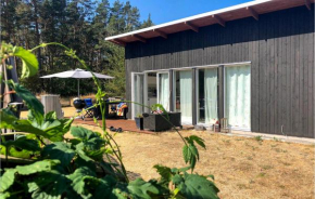Amazing Home In Köpingsvik With Wifi
